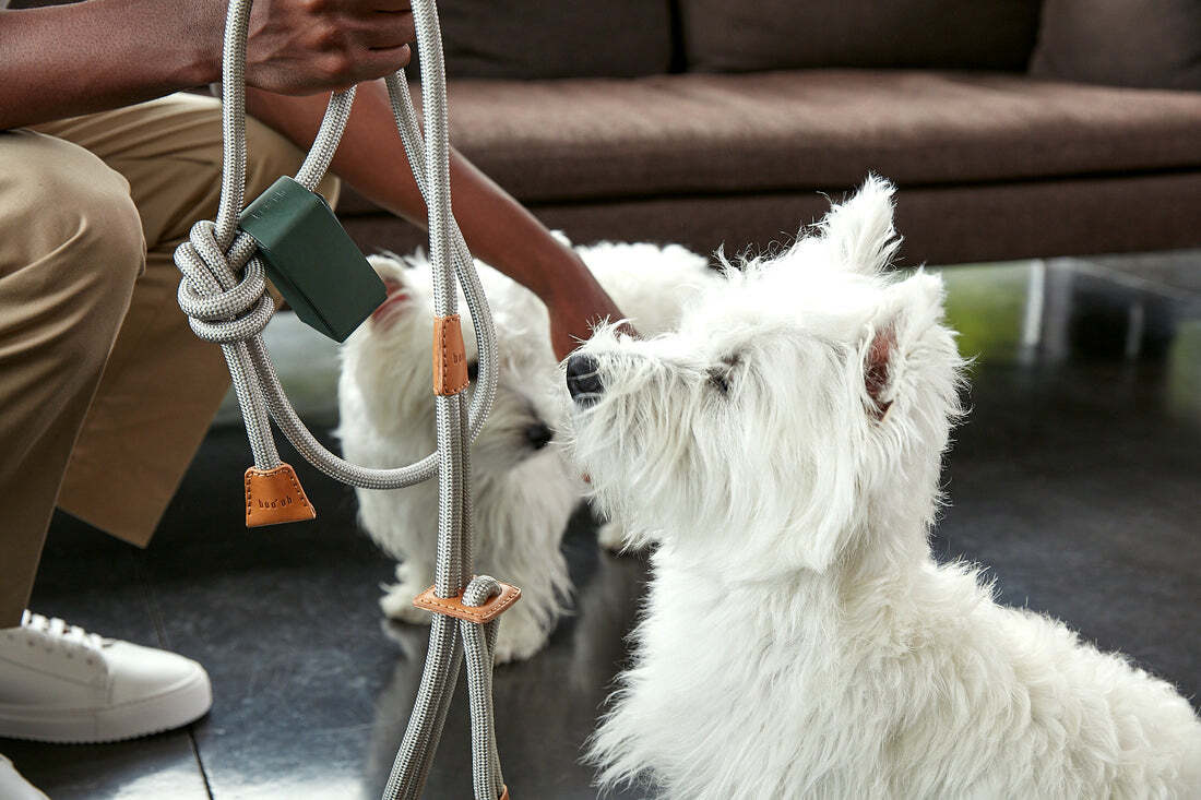 Boo Oh Ray Harness (Silver)