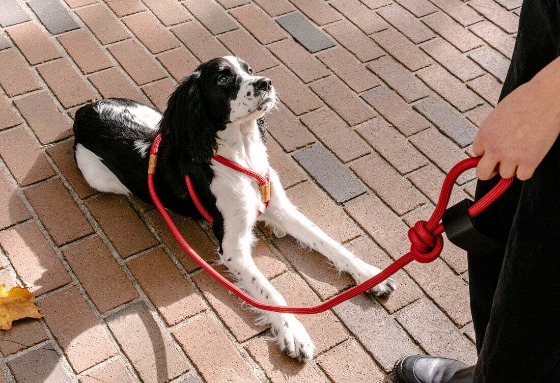 Boo Oh Ray Harness (Red)