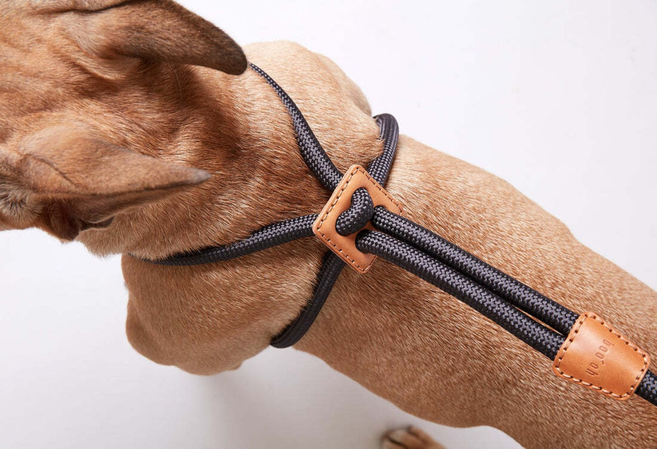 Boo Oh Ray Harness (Dark Grey)