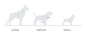 Boo Oh Lumi Collar （Gold+black）