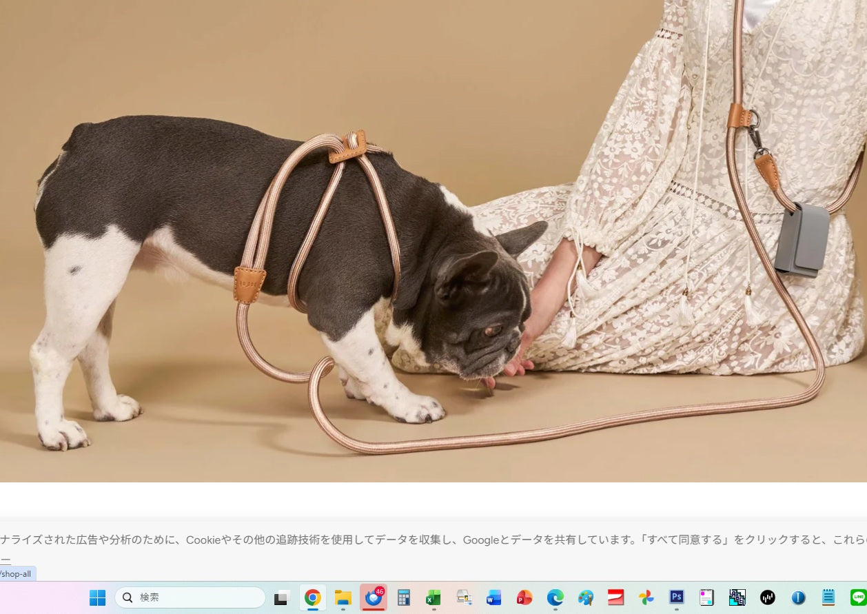 Boo Oh Ray Harness (Champagne Gold)